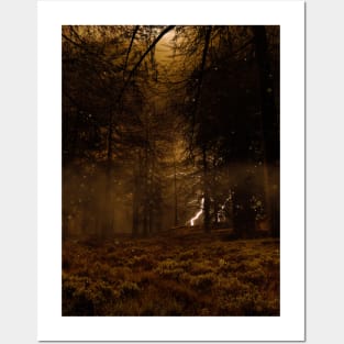 Lightning In The Forest Posters and Art